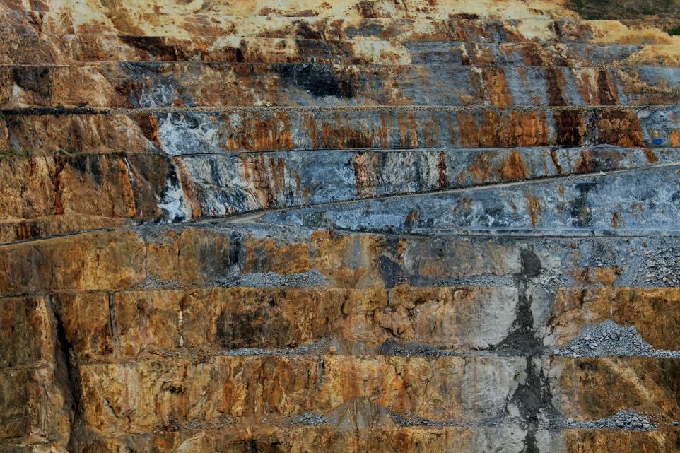 a bird is sitting on a ledge of a cliff